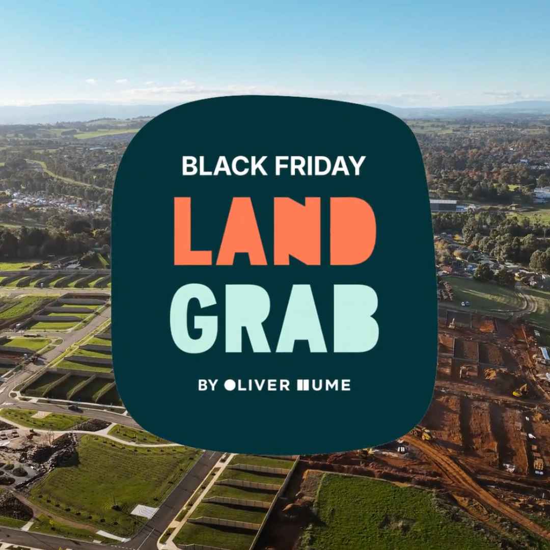 Black Friday Land Grab